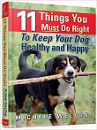 Сделай 11 вещей из моей книги о здоровье собак,   11 вещей, которые вы должны делать правильно, чтобы ваша собака была здоровой и счастливой   , и ваша собака будет жить дольше, более здоровой жизнью и редко нужно посещать ветеринара